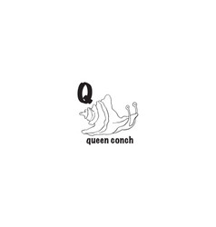 Queen Conch Icon