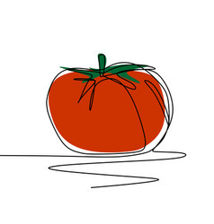 One Line Drawing Of Tomato Fruit