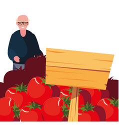 Old Man Shopping Tomatoes In Wooden Placard