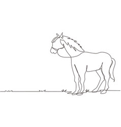 Continuous One Line Drawing Horse Standing Still