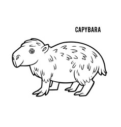 Coloring Book For Kids Capybara