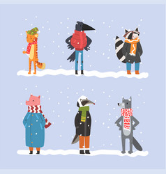 Set Animals In Warm Winter Clothes Cat Raven