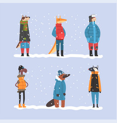 Set Animals In Warm Winter Clothes Badger Dog