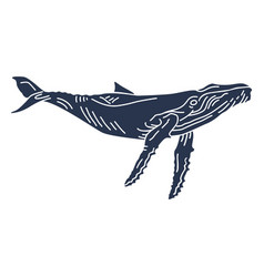 Blue Whale Sea Animal Silhouette