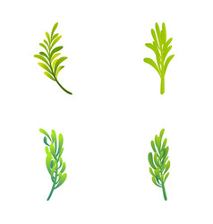 Rosemary Plant Icons Set Cartoon Green