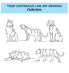 Set Of Tiger Line Design Wildlife Decorative