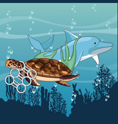 Sad Dolphin And Turtle Stuck