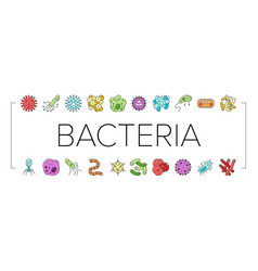 Bacteria Virus Bacterium Cell Icons Set