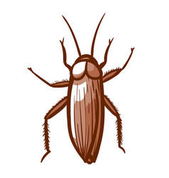 Cockroach Hand Drawn Icon Insect Home House