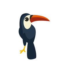 Flat Cute Tucan Design