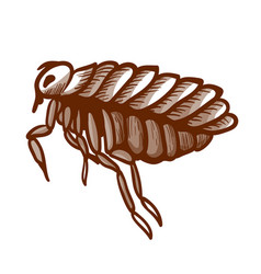 Flea Hand Drawn Icon Wingless Insect Jumping