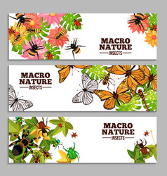 Insects Horizontal Banners