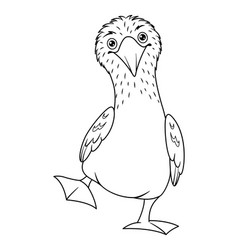 Blue Footed Booby Coloring Page