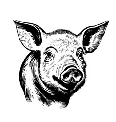 Pig Face Logo Hand Drawn Sketch