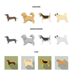 Pikinise Dachshund Pug Peggy Dog Breeds Set