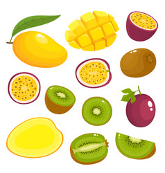 Set Of Colorful Kiwi Mango Passionfruit