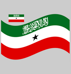 Republic Somaliland Wave Flag