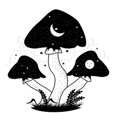 Three Mushrooms Surreal Space