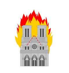 Notre Dame De Paris Fire Burning Rohistoric