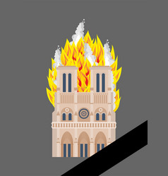 Notre Dame De Paris Fire Burning Rohistoric