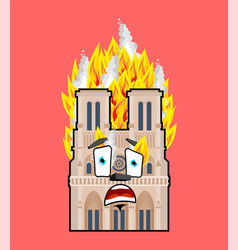 Notre Dame De Paris Fire Burning Rohistoric