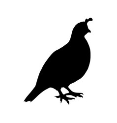 California Quail Silhouette