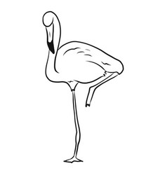 Flamingo Standing On One Leg Sketch