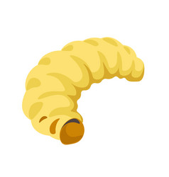 Grub Bee Larvae With No Legs Lifecycle