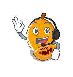 With Headphone Sweet Gac Fruit In Mascot Bowl