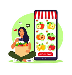 Online Food Order Grocery Delivery Woman Shop