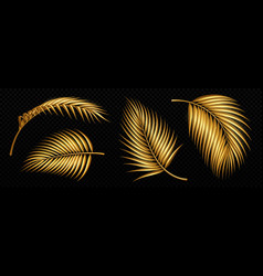 Set Of Golden Palm Tree Leaves Isolated On Black