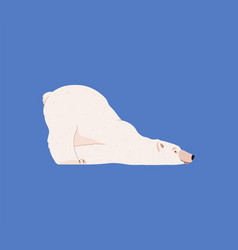 Cute Polar Bear Lying In Funny Pose Cartoon Flat