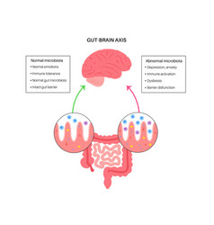 Gut Brain Connection