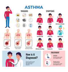 Asthma infographic poster Royalty Free Vector Image