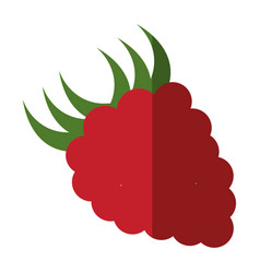 Blackberry Fruit Icon