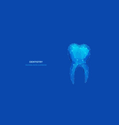 Human Tooth Technology Teeth Isolated Polygonal