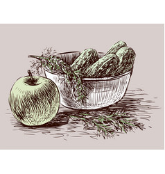 Hand Drawing Of Fresh Cucumbers In Bowl Dill