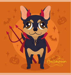 Isolated Cute Chihuahua Dog With A Halloween Demon