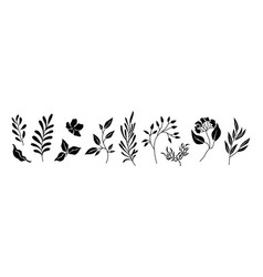 Set Of Black Silhouettes Of Wild Plant Leaves