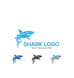 Shark Logo Design