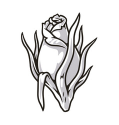 Elegant Rose Monochrome Vintage Sticker