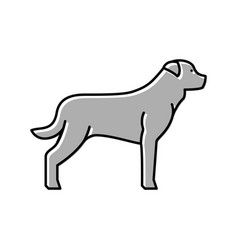 Rottweiler Dog Color Icon