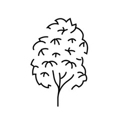 Kauri Tree Jungle Amazon Line Icon