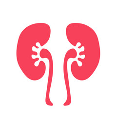 Human Kidney Flat Style