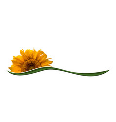 Symbol With Yellow Sunflower