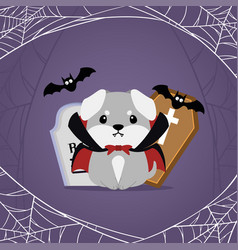 Isolated Cute Dog With Vampire Halloween Costume