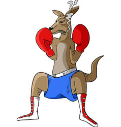 Kangaroo Boxing