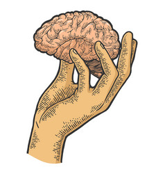 Human Brain In Hand Sketch