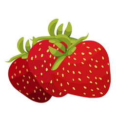 Strawberry On White Background