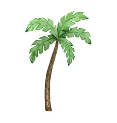 Watercolor Palm Tree